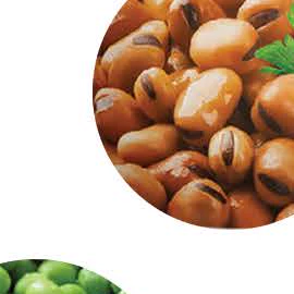 Fava beans
