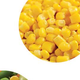 Sweet corn