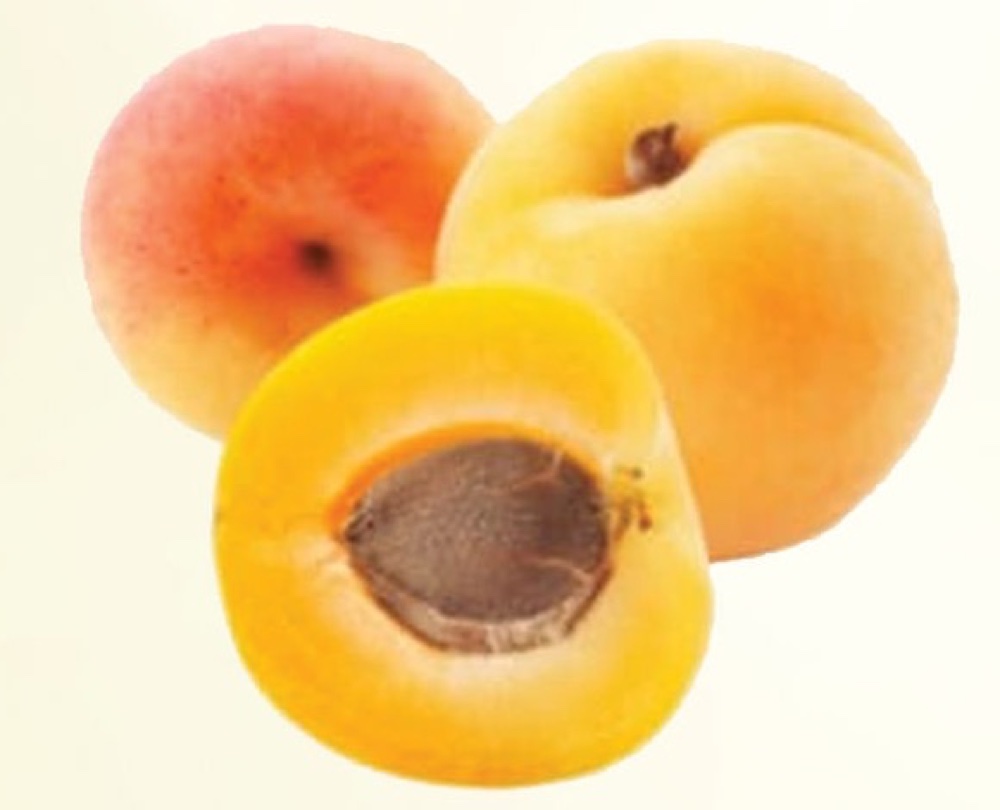 Apricots