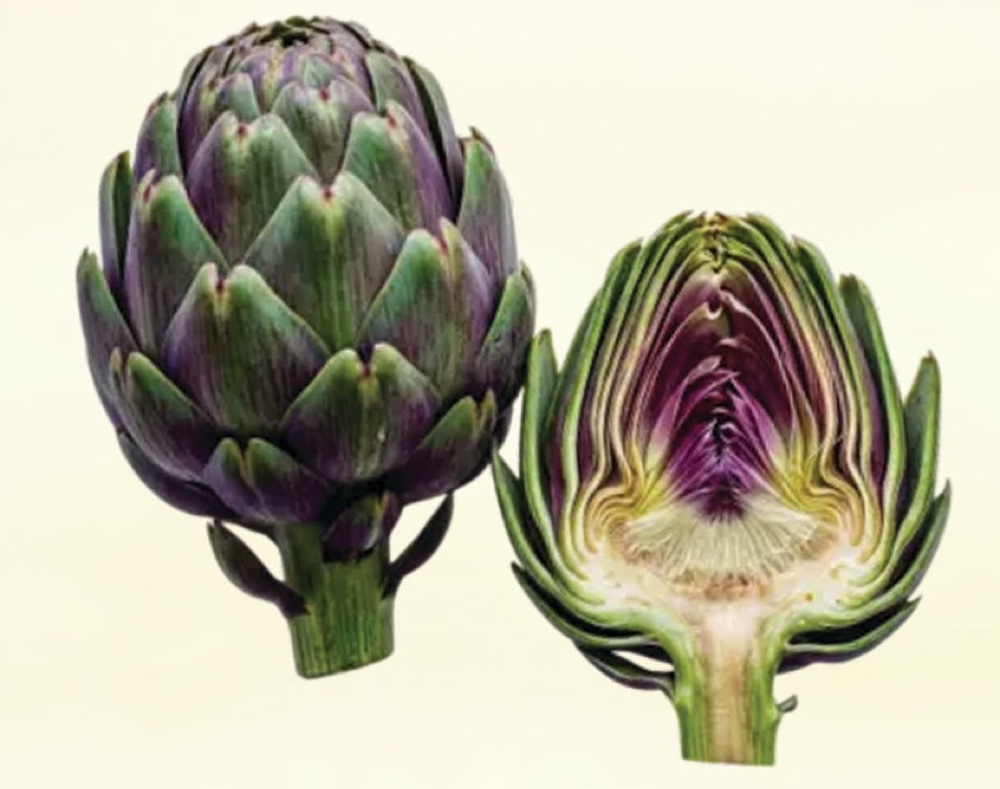 Artichokes