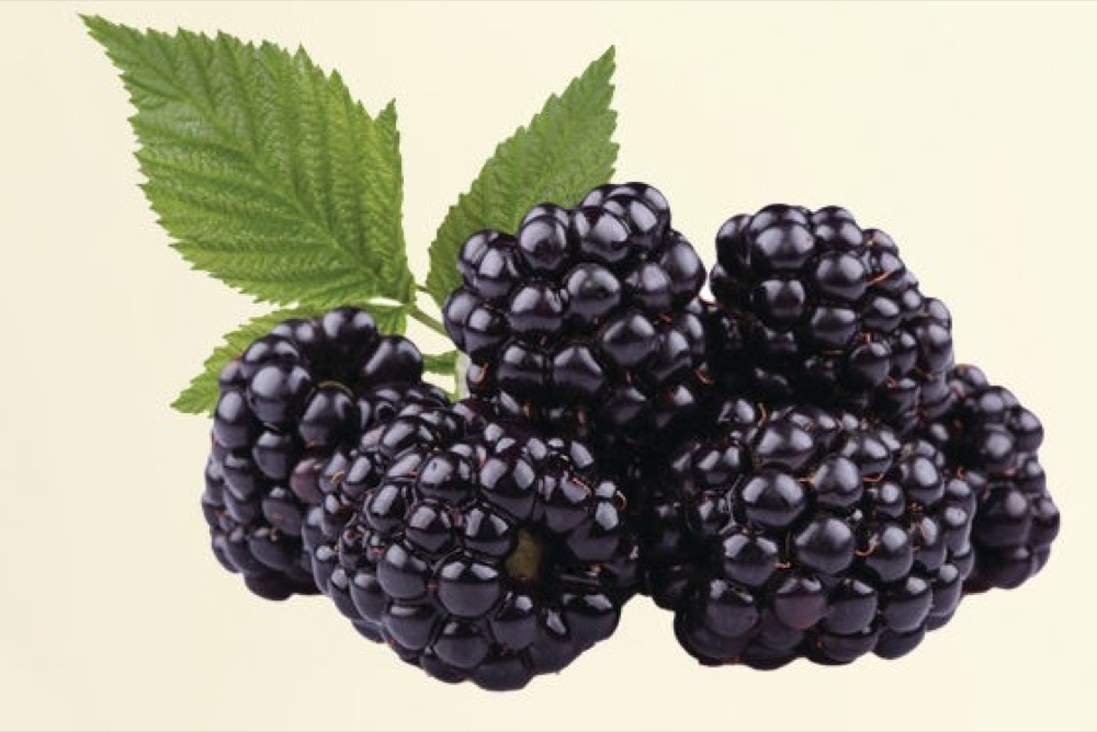 Blackberries