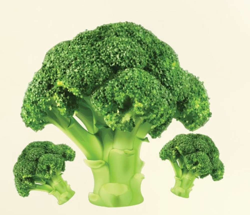 Broccoli