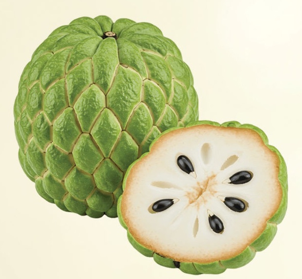 Cherimoya