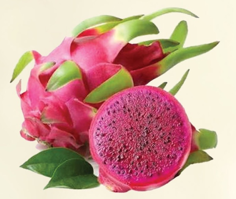 Dragon fruit