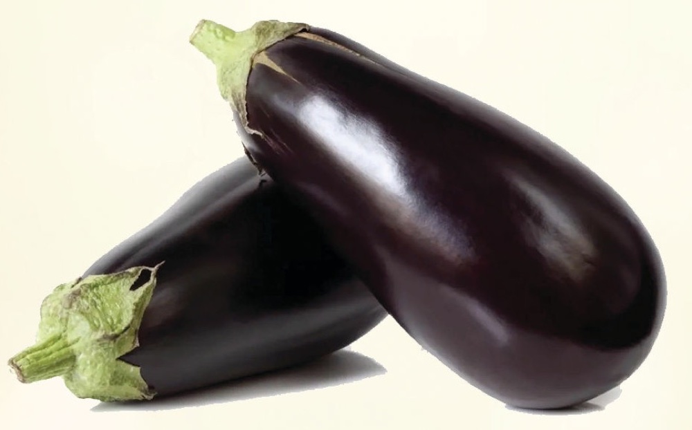 Eggplant
