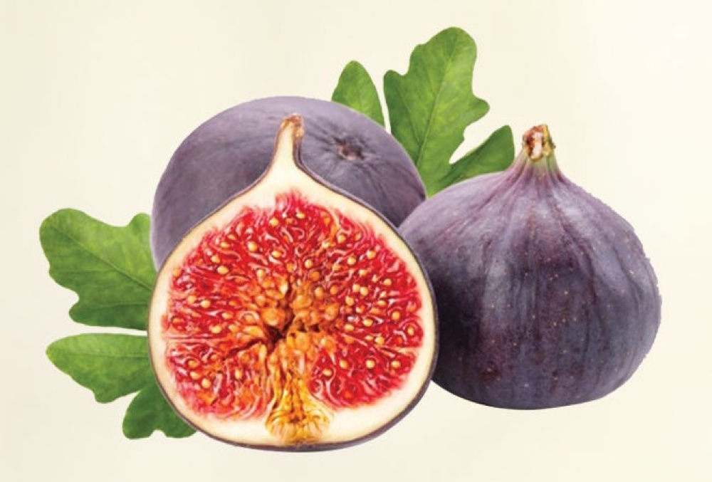 Figs