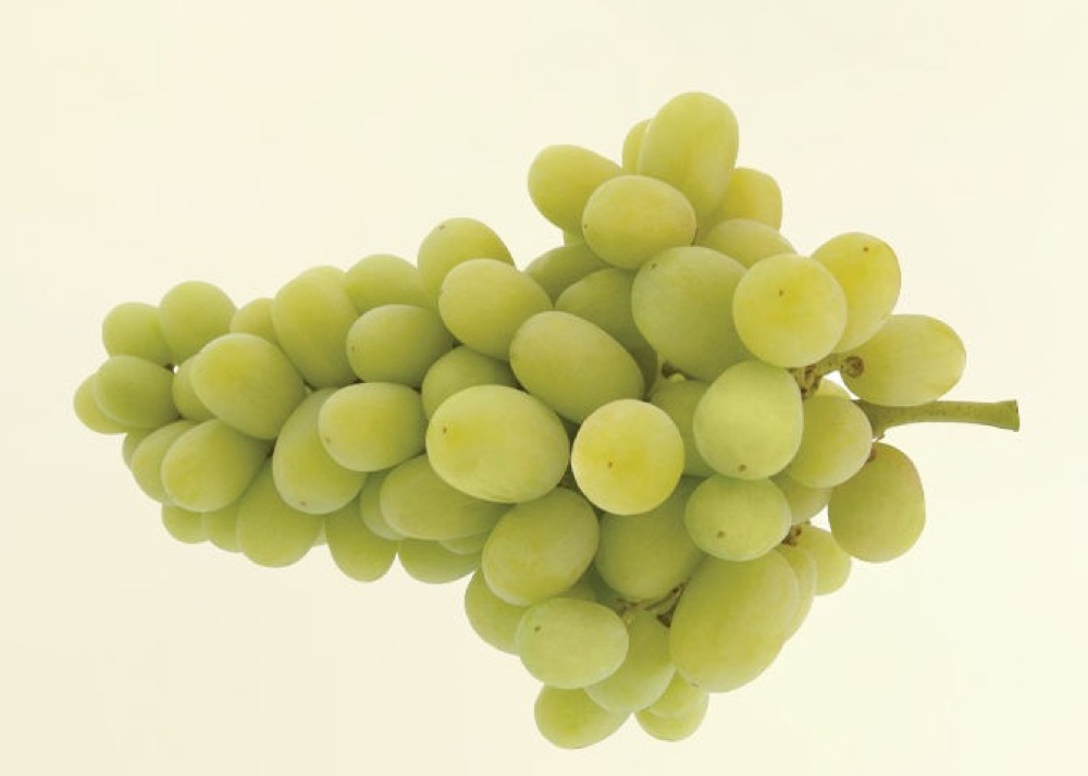 Grapes