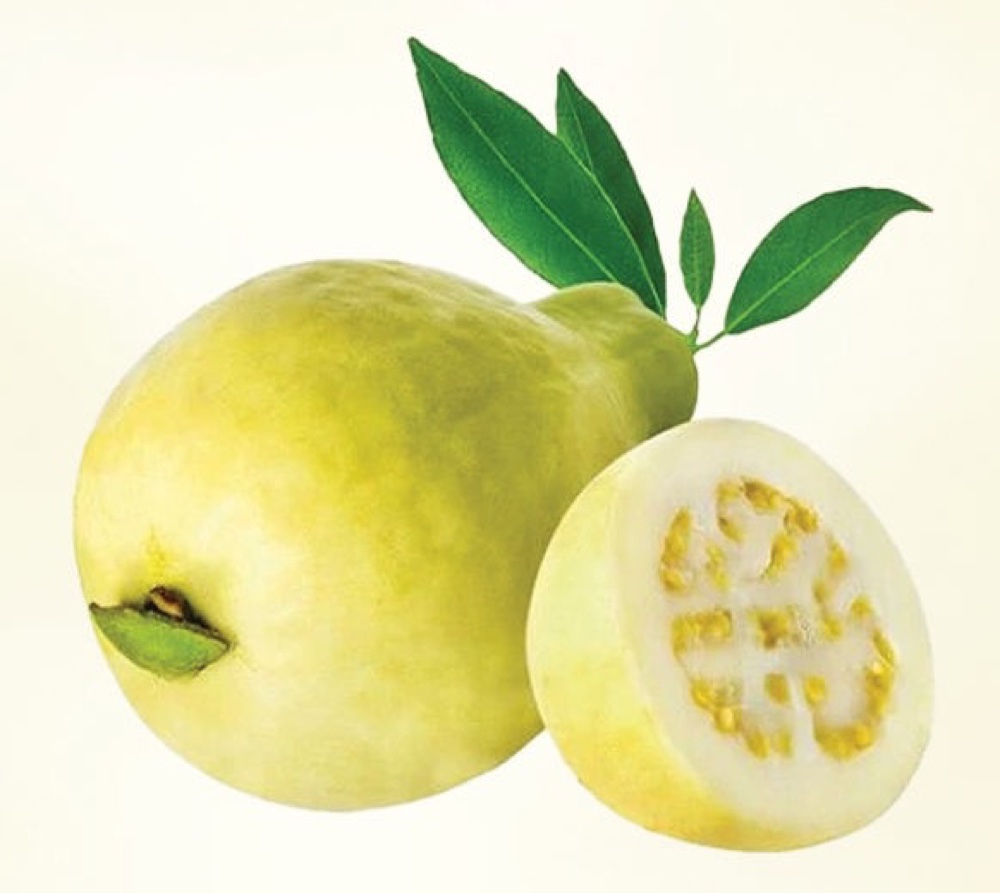 Guava