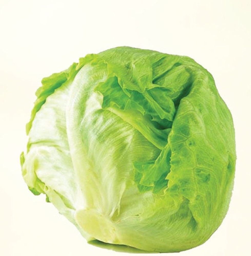 Iceberg lettuce