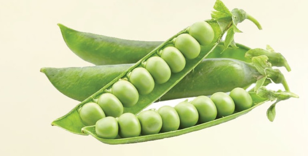 Peas & snow peas
