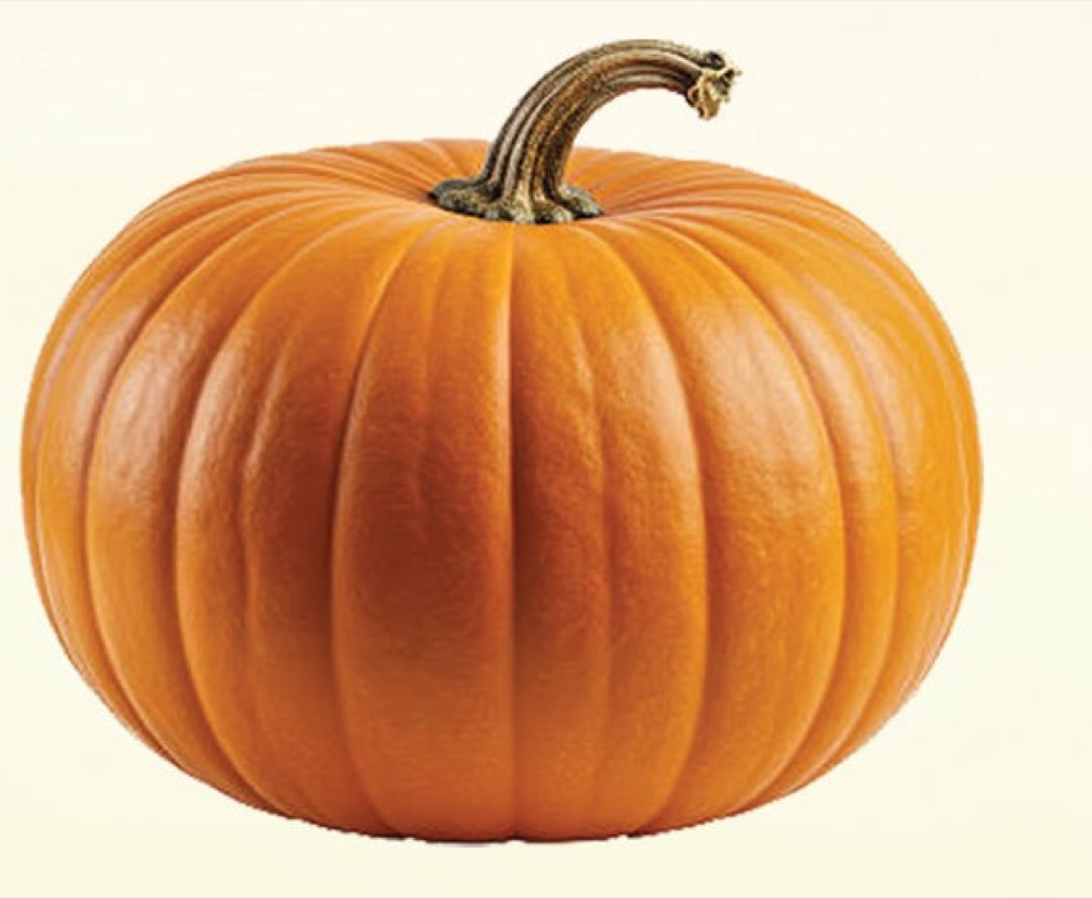 Pumpkin