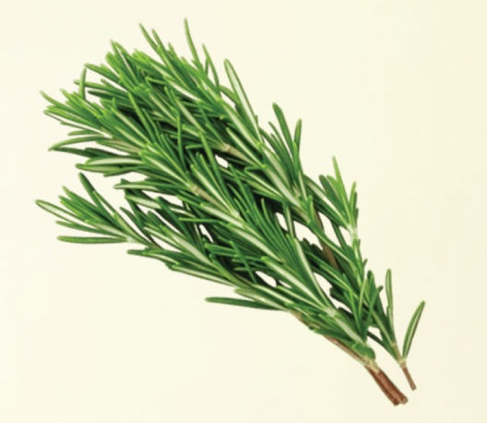 Rosemary