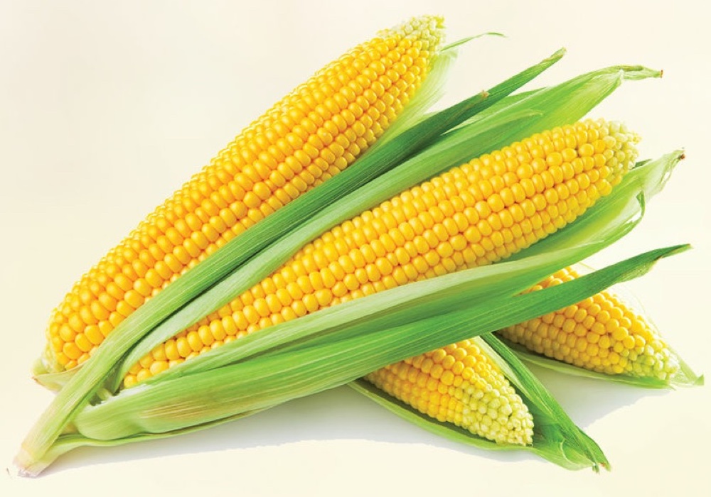 Sweet corn