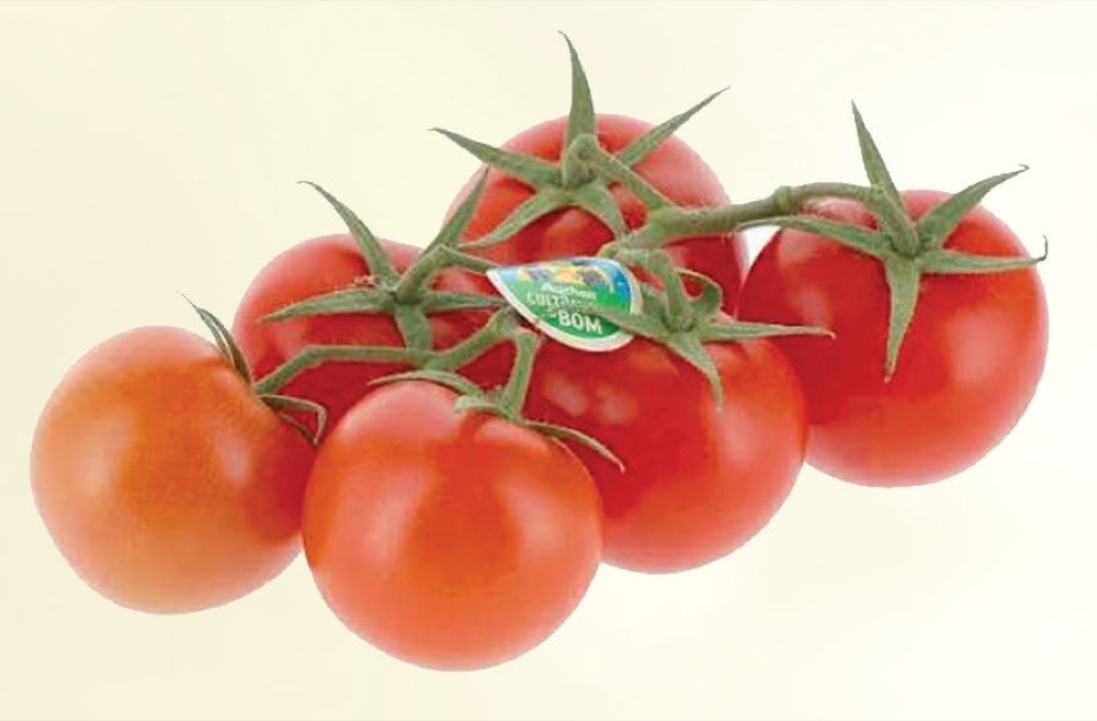 Tomatoes