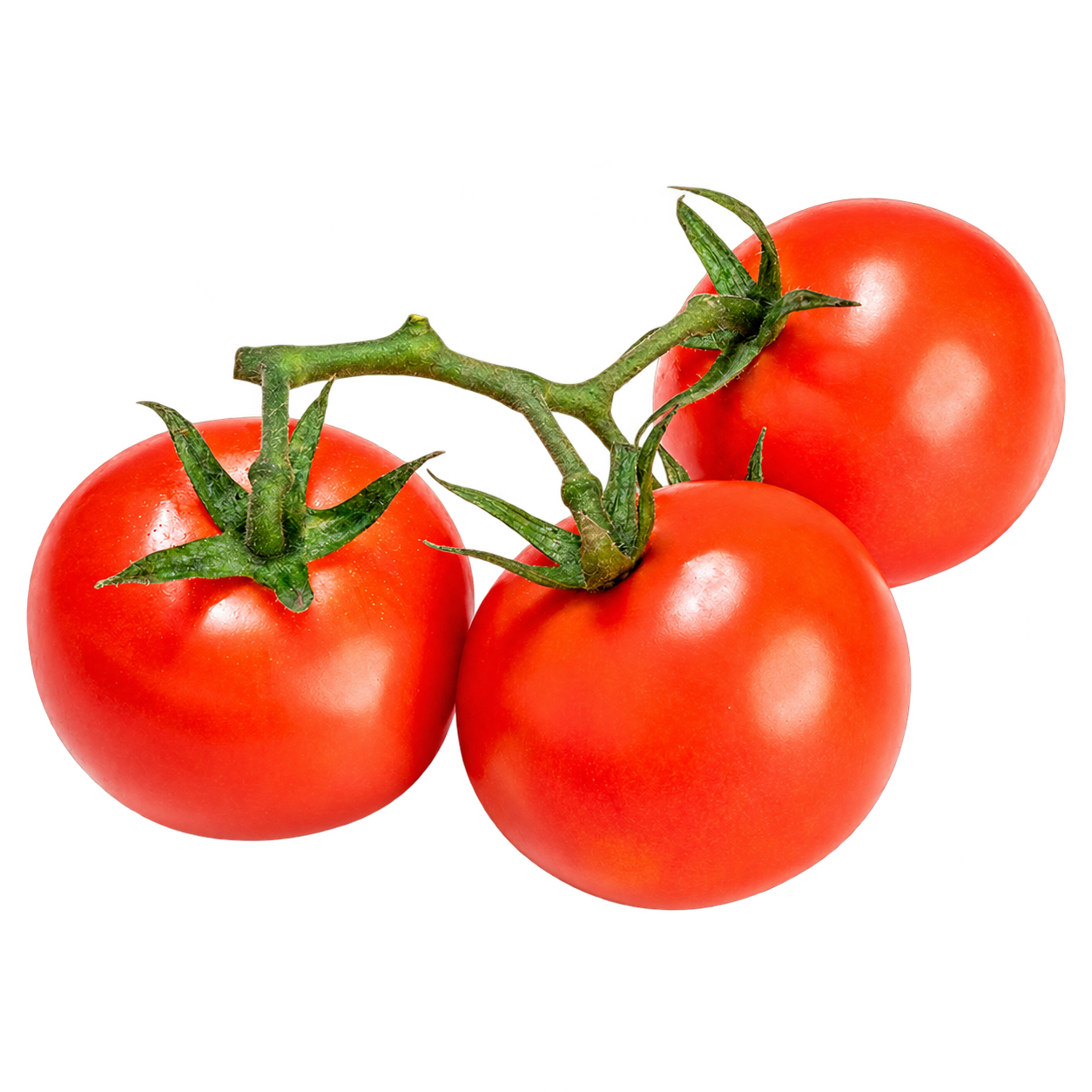 Tomatoes