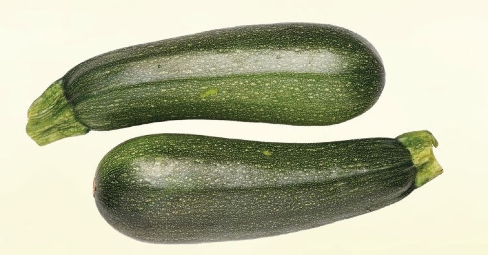 Zucchini