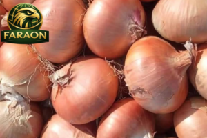 Onions