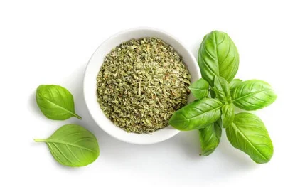 Basil