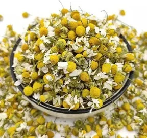Chamomile