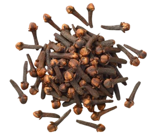 Clove
