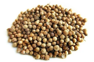 Coriander seeds